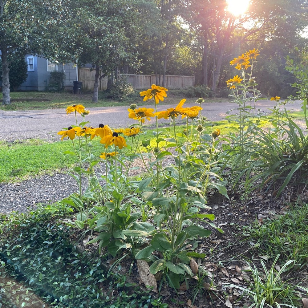 Meet your Posher, DN